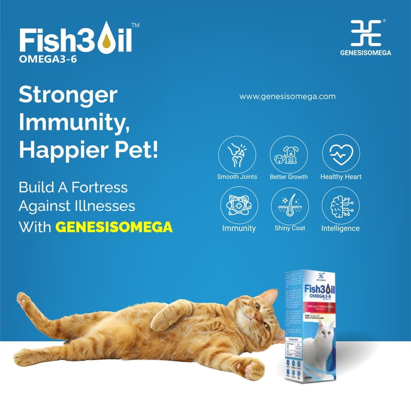 FISH3OIL OMEGA 3-6 FOR CATS ANIMAL FEED SUPPLEMENT-200 ML