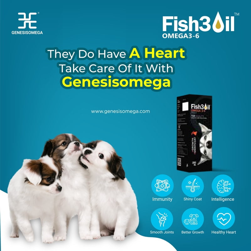 FISH3OIL OMEGA 3-6 FOR DOGS ANIMAL FEED SUPPLEMENT 200ML