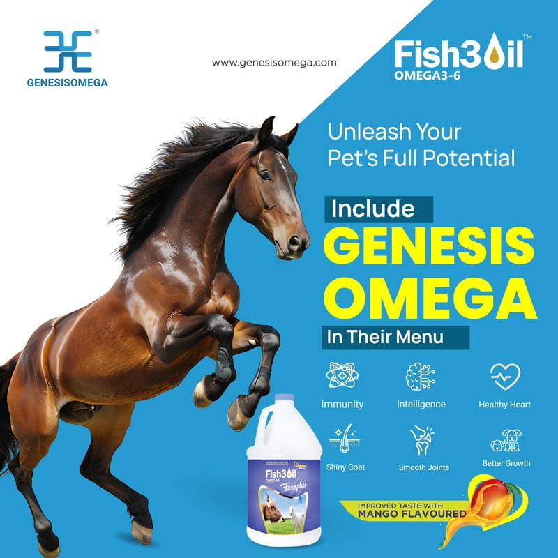 FISH3OIL FARMPLUS OMEGA 3-6 ANIMAL FEED SUPPLEMENT-1 L