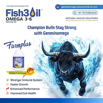 Fish3oil Farm plus Omega 3-6  for Bull